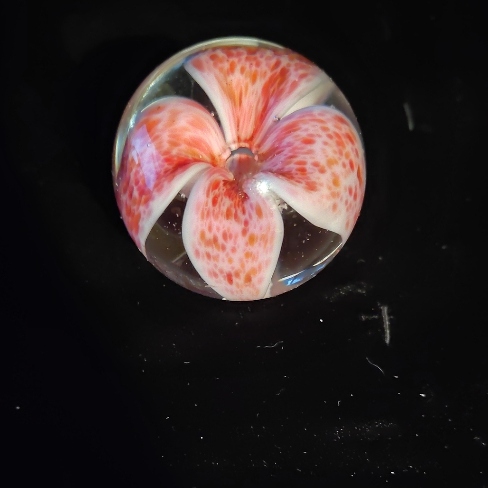 Glass Eye Studio Paperweight